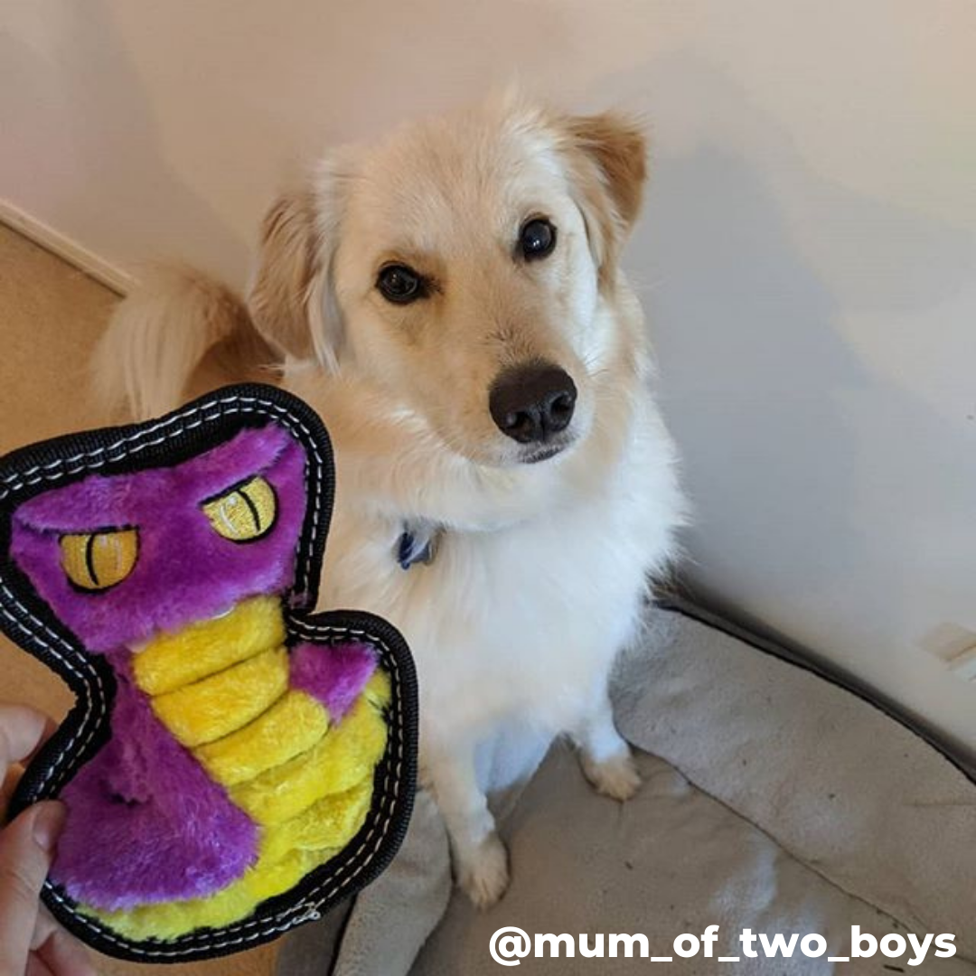 Outward Hound Tough Seamz Cobra Dog Toy