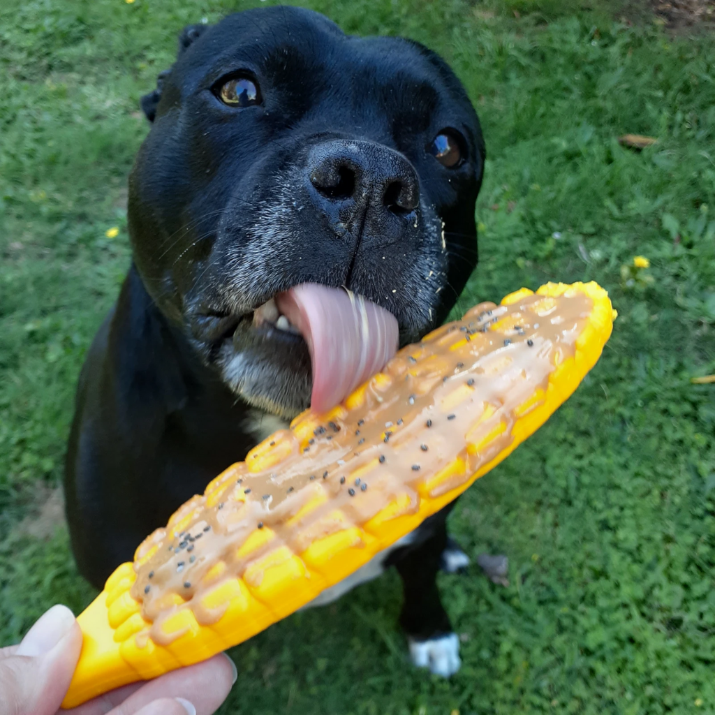 SodaPup Nylon Corn on the Cob Dog Toy