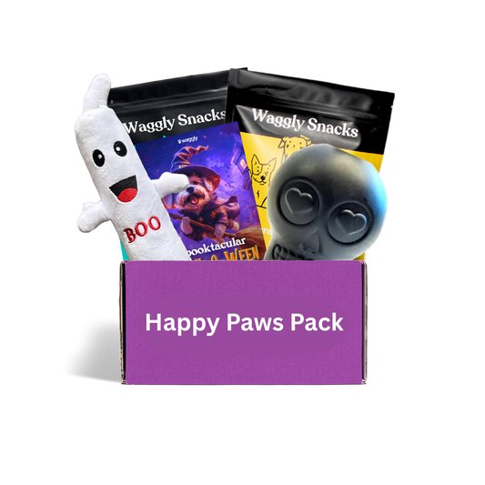Halloween Active Toys & Treats Dog Box