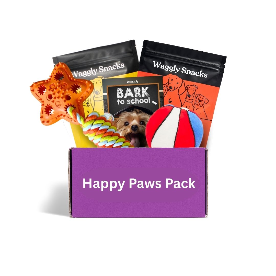 Monthly dog subscription box Australia - toys designed for fetch, tug and active dogs