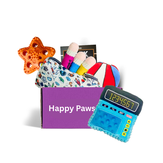 Dog subscription box Australia - Happy Paws Playful Paws toy box with plush and active toys for dogs