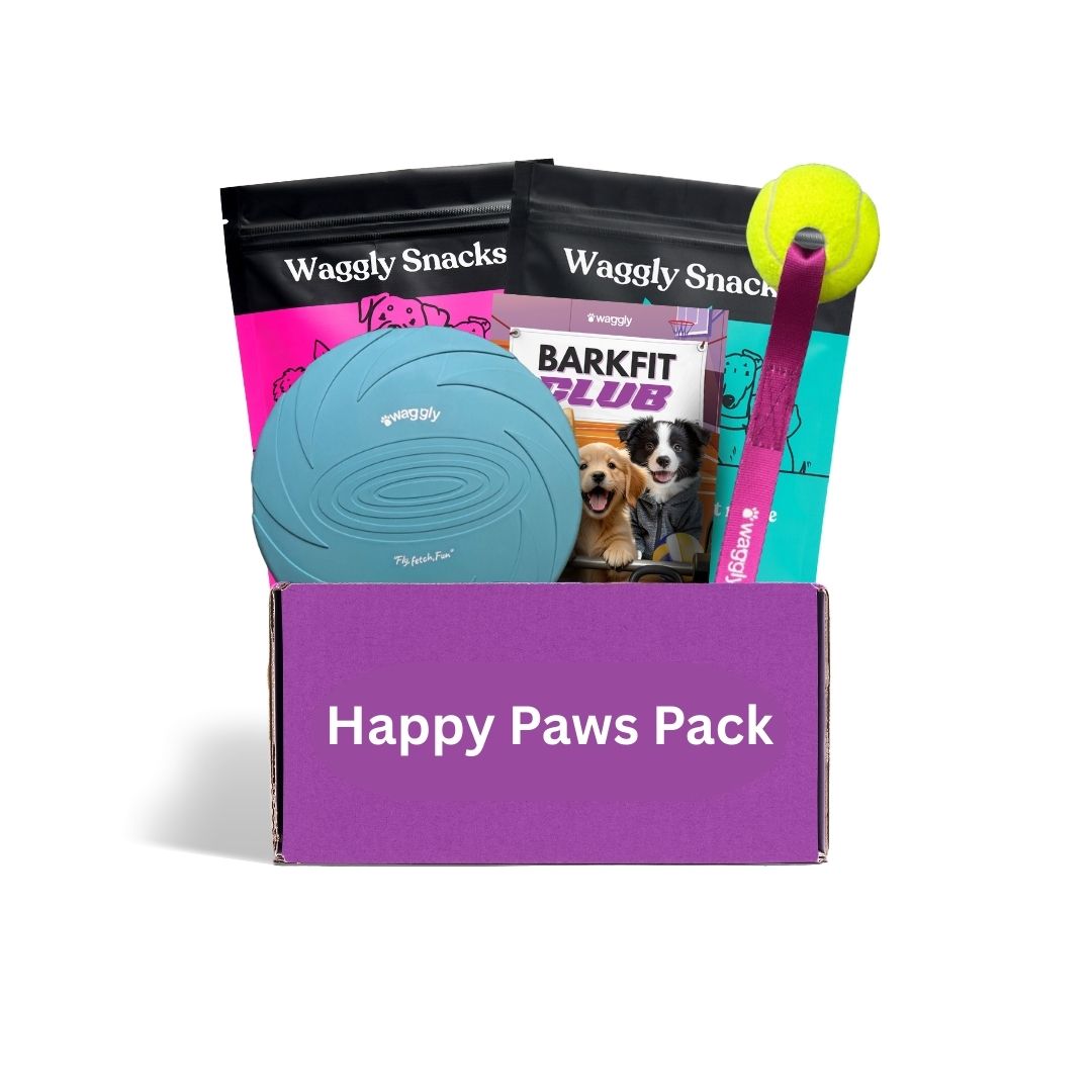 Australian active dog subscription - fitness themed durable toys and Waggly Snacks