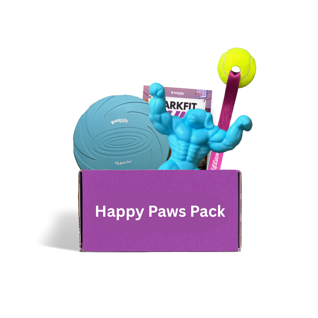 Dog toy subscription Australia - fitness themed power chewer and active play toys monthly