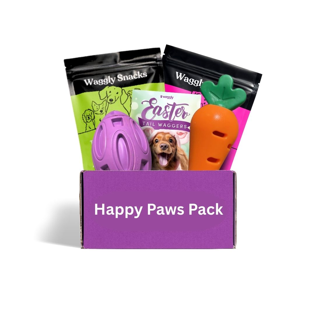 Themed dog subscription box Australia - seasonal active toys for energetic dogs
