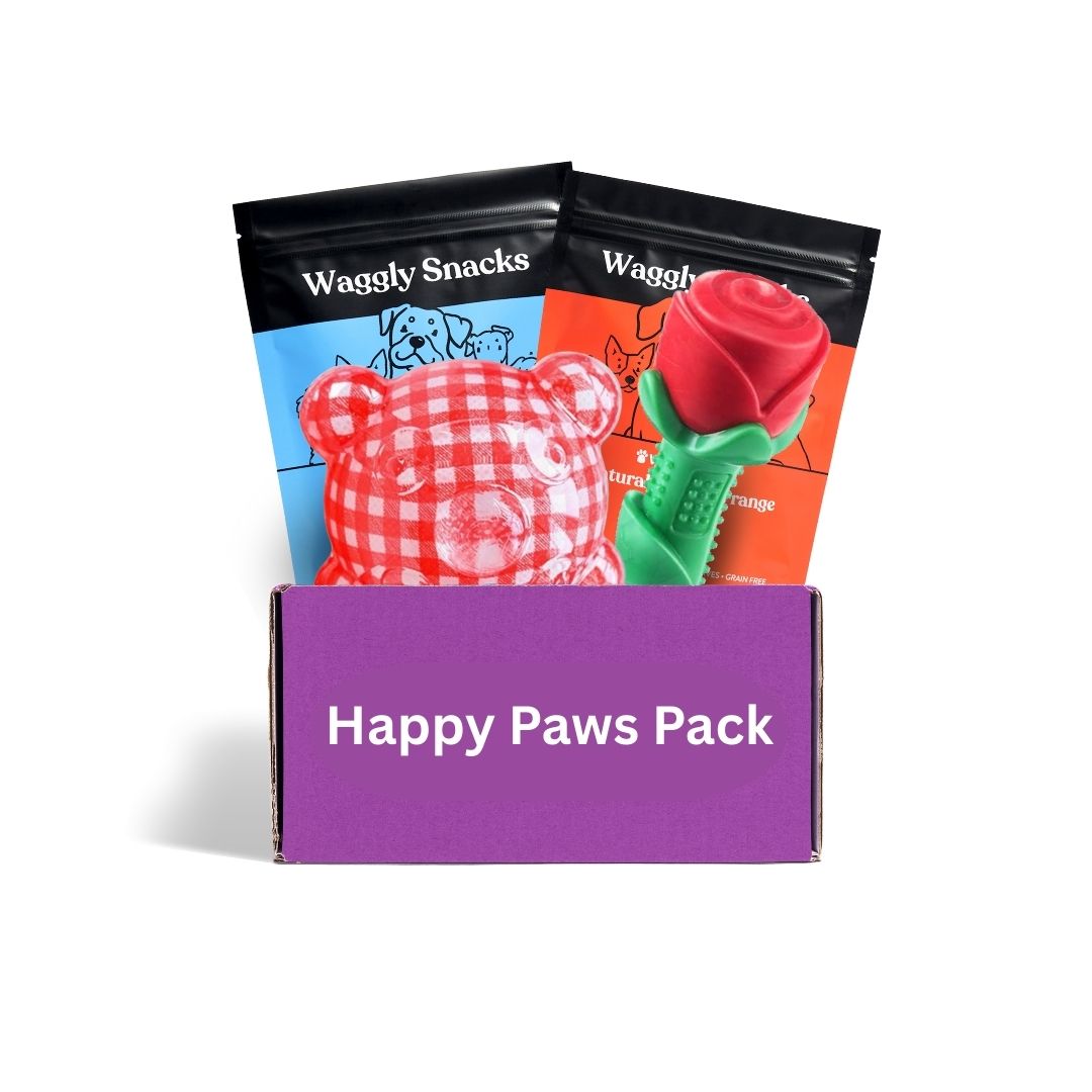 Active dog box Australia upgrade - Love themed durable toys and treats for high-energy dogs