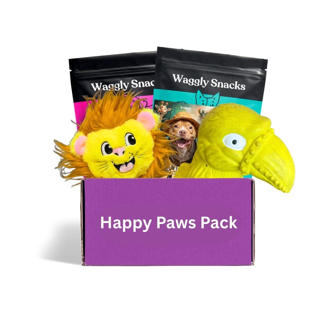 Active dog subscription box Australia - fetch and tug toys for energetic pups