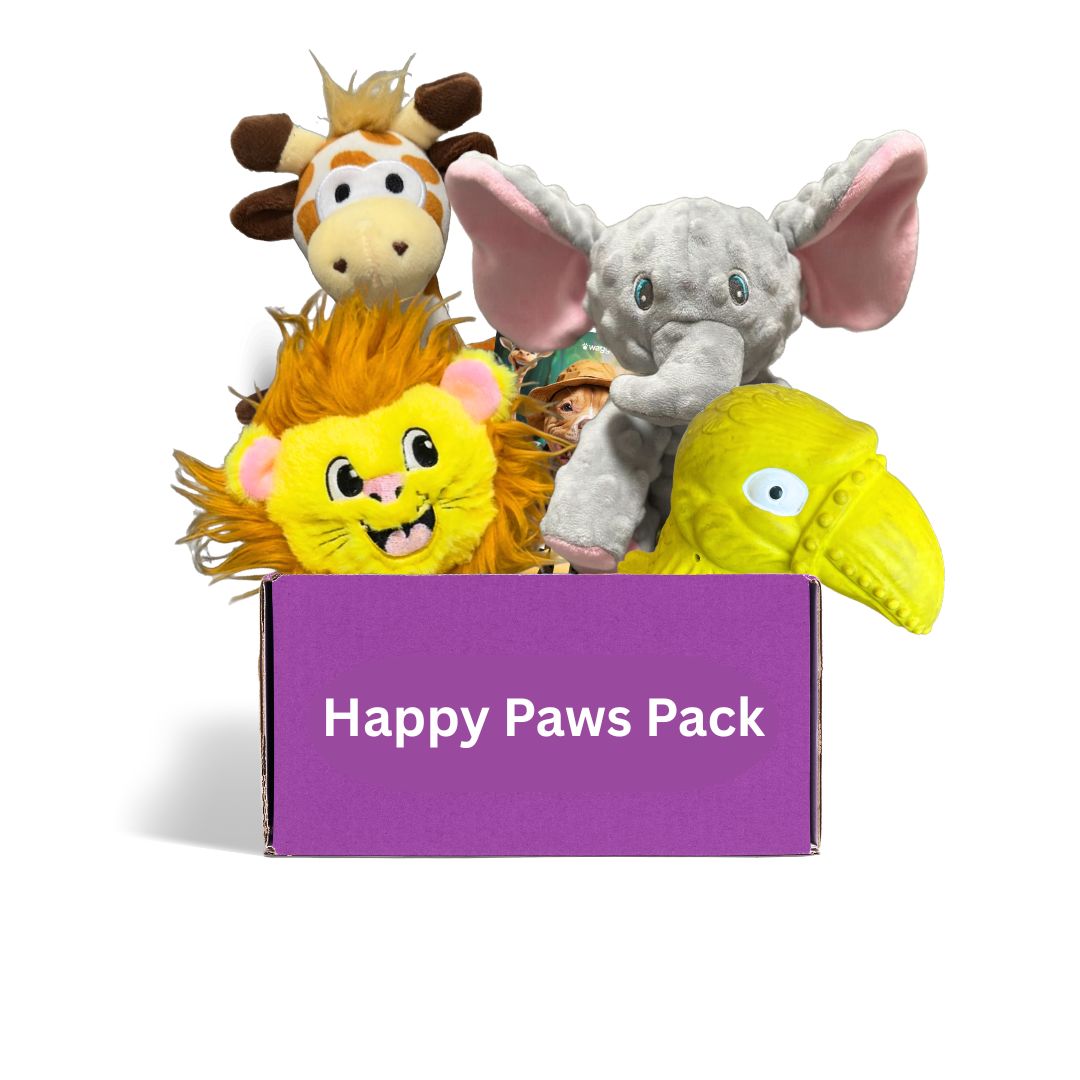 Australian dog toy subscription box contents - monthly delivery of 4 toys including plush and durable play toys