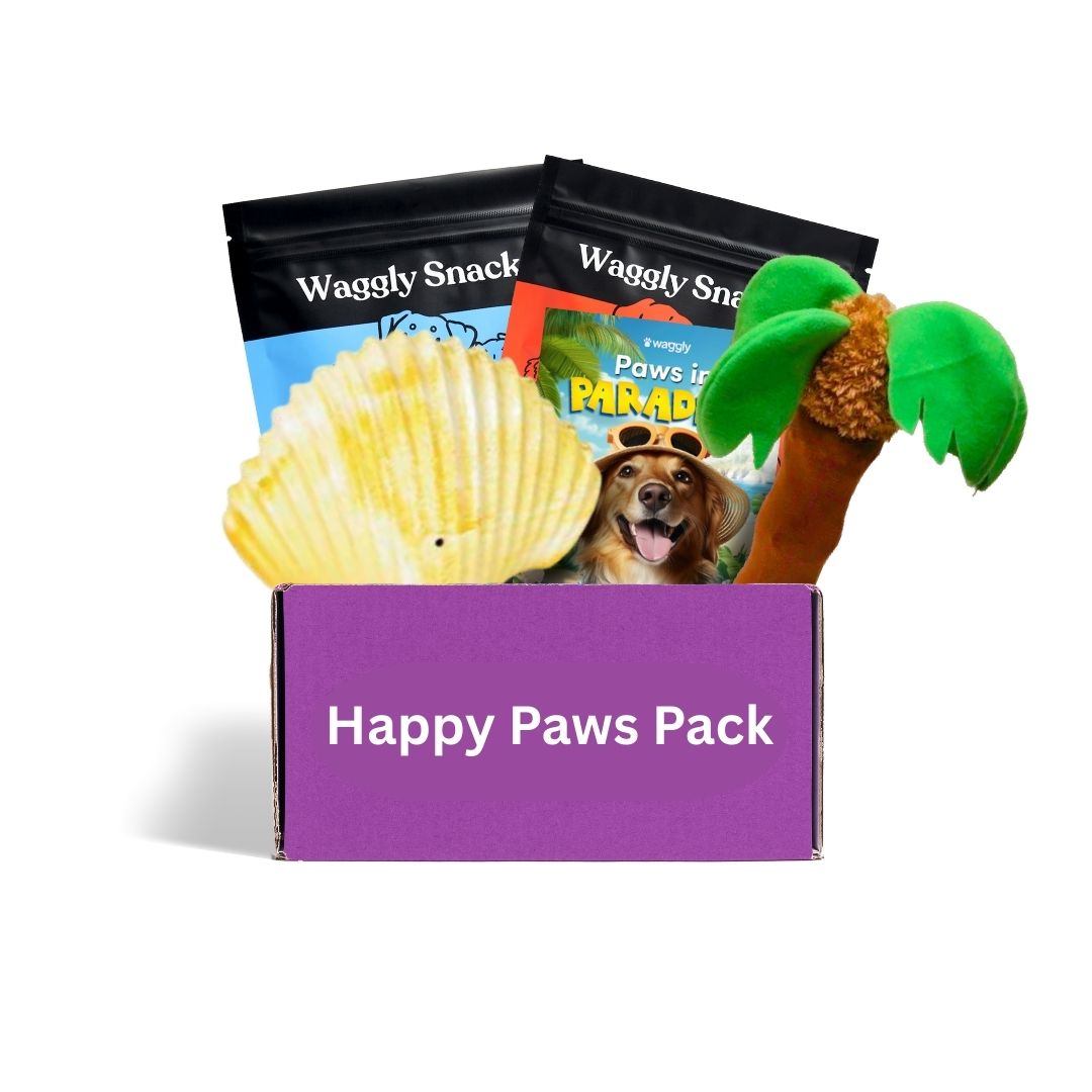 Australian dog toy subscription - durable interactive toys for active play