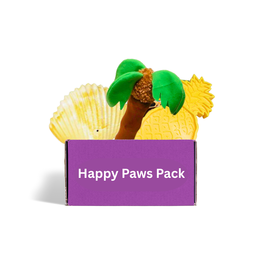 Monthly dog toy box Australia - tropical themed durable toys for power chewers and active dogs