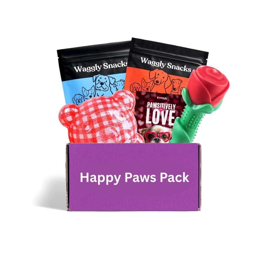 Happy Paws Active Box Subscription