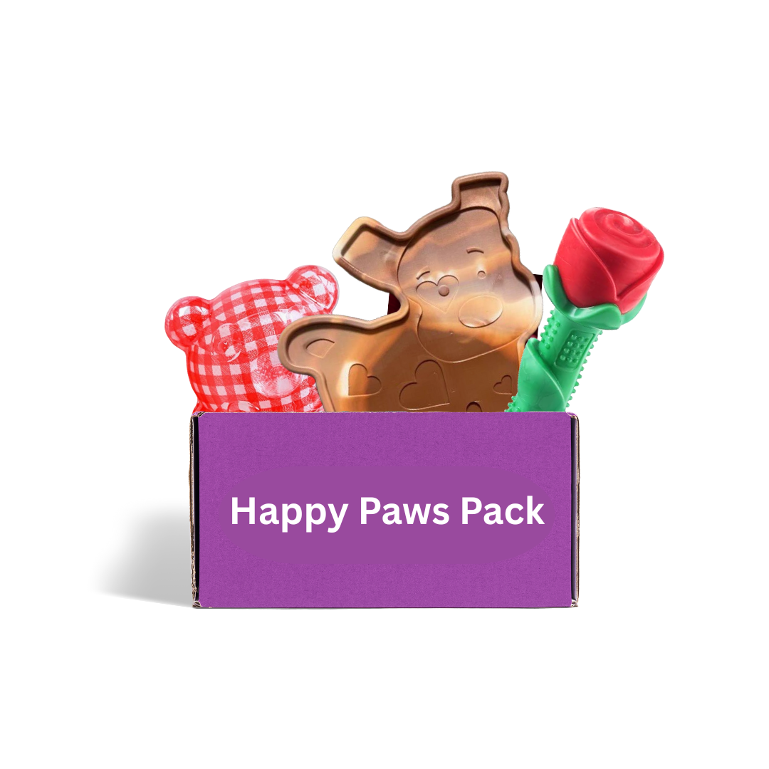 Dog toy subscription box Australia - Happy Paws Power Play with durable chewer and active toys