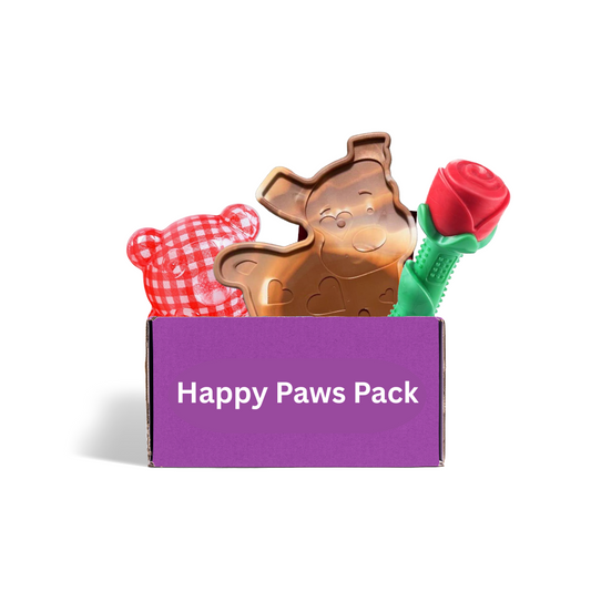 Dog toy subscription box Australia - Happy Paws Power Play with durable chewer and active toys