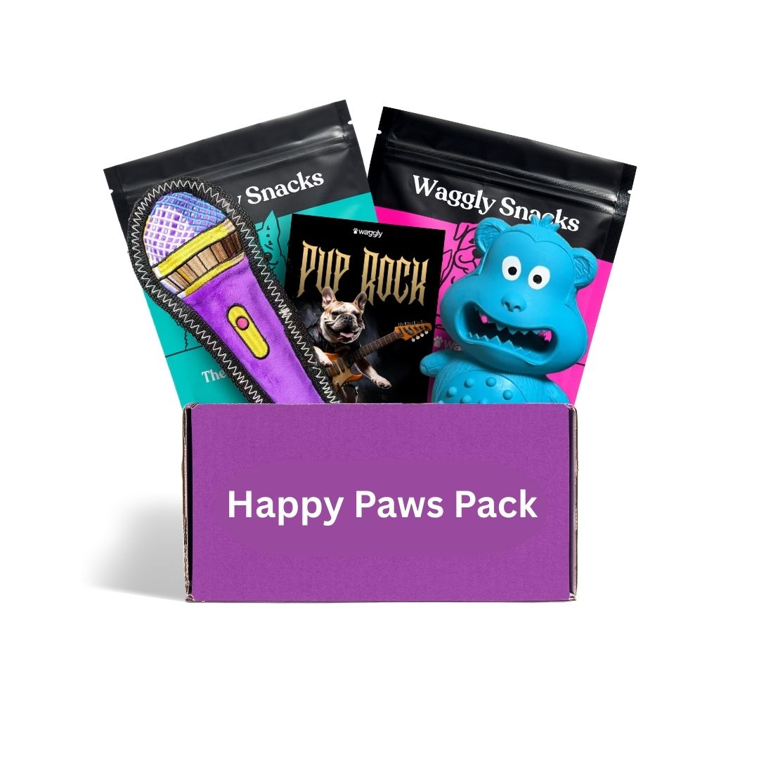 Dog toy subscription Australia - rock themed no-stuffing toys for active chewers