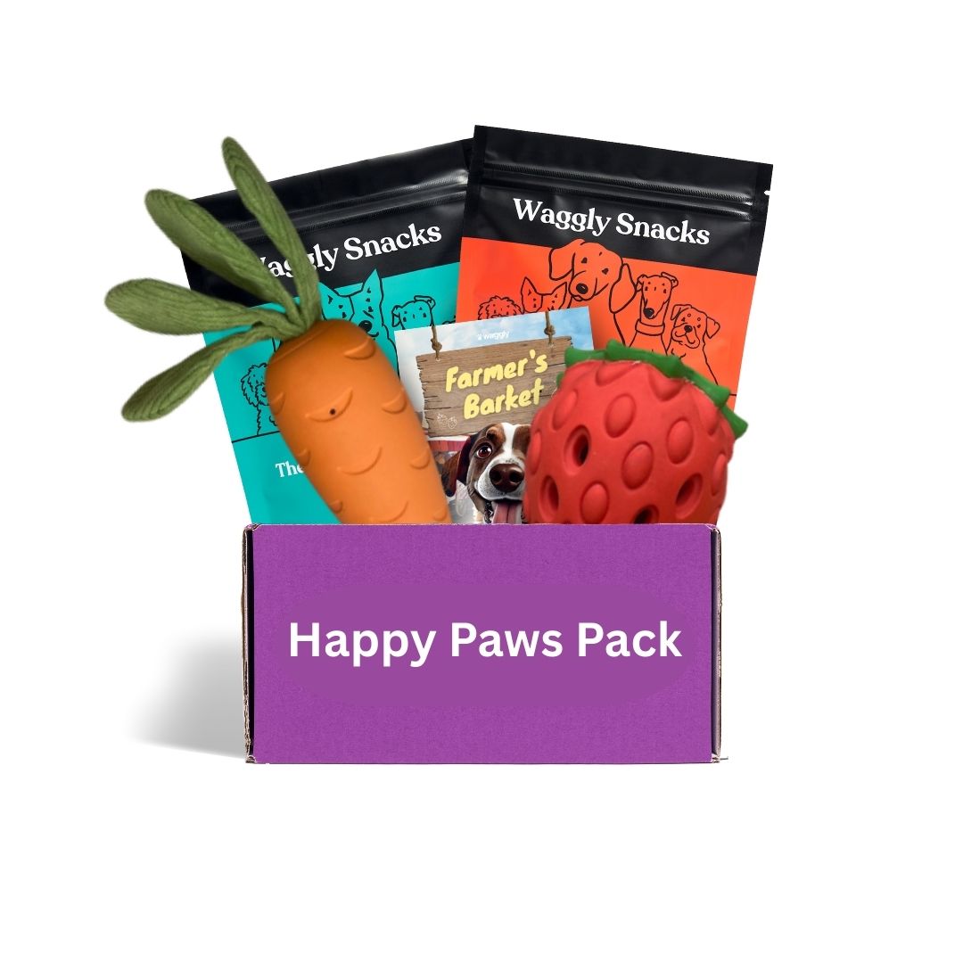 Dog toy subscription Australia - health  themed no-stuffing toys for active chewers