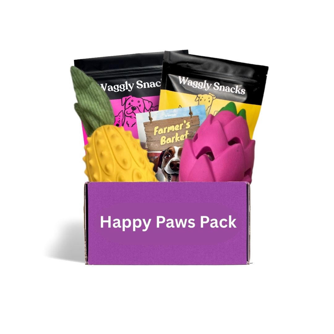 Dog subscription box Australia - farm themed no-stuffing toys for active fetchers