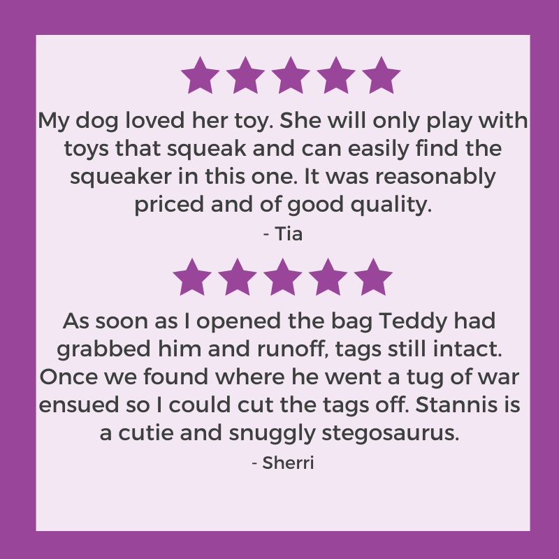FuzzYard Stannis the Stegosaurus Dog Toy