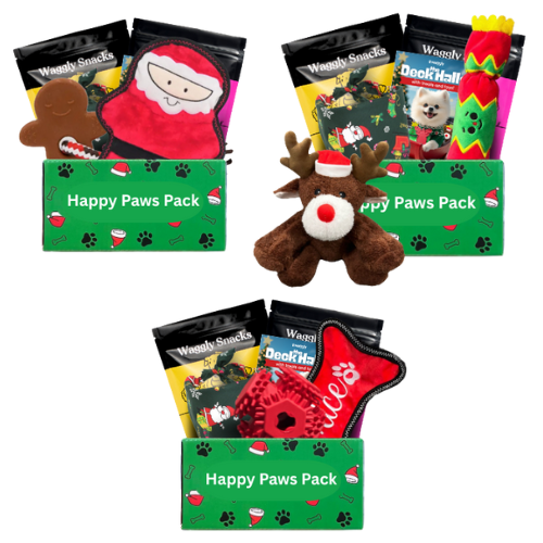 Happy Paws Holiday Joy Bundle - 3 Christmas boxes with plush, active and teething toys
