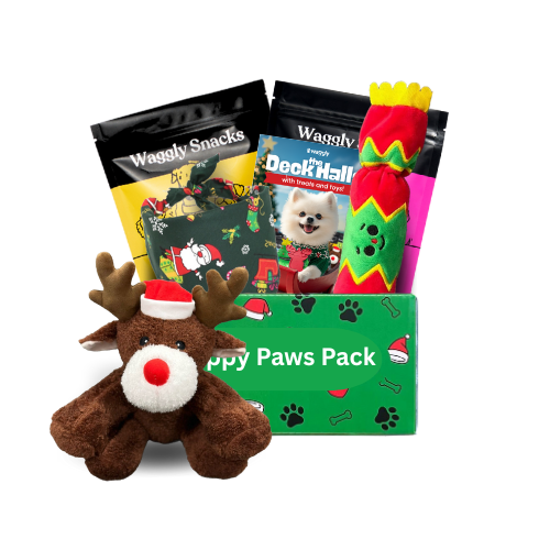 Happy Paws Howl-iday Plush Party Box - Christmas plush toys and treats