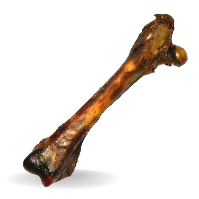 Waggly Snacks Kangaroo Clod Bone Dog Treat - natural Australian kangaroo bone chew