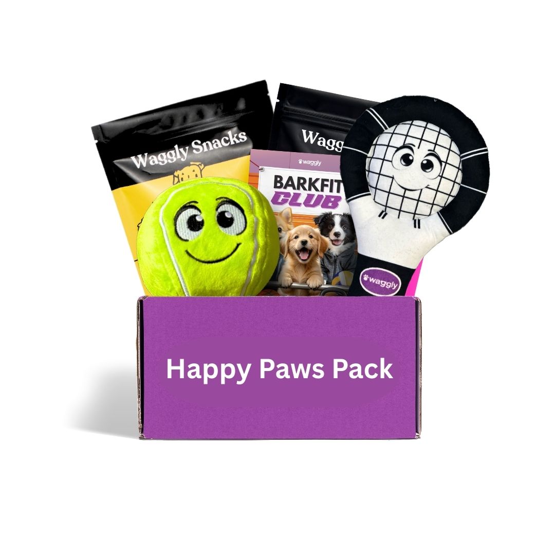 Monthly dog toy box Australia - plush squeaky toys and Waggly Snacks for all dogs