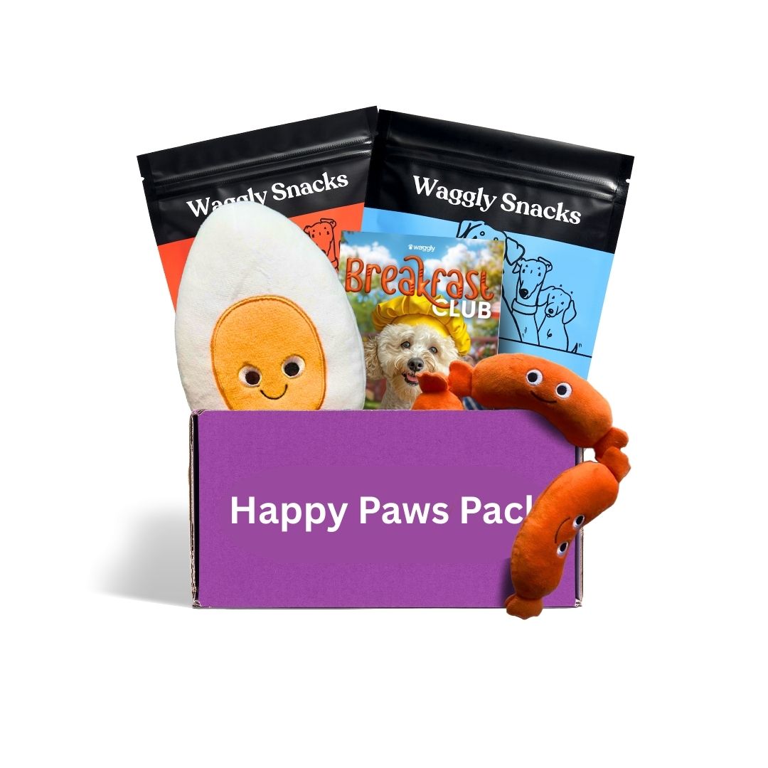Australian dog subscription box contents - 2 plush toys and 2 treat bags delivered monthly