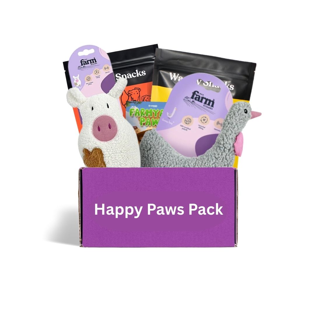 Premium dog subscription box Australia - Farm themed toys and healthy treats monthly