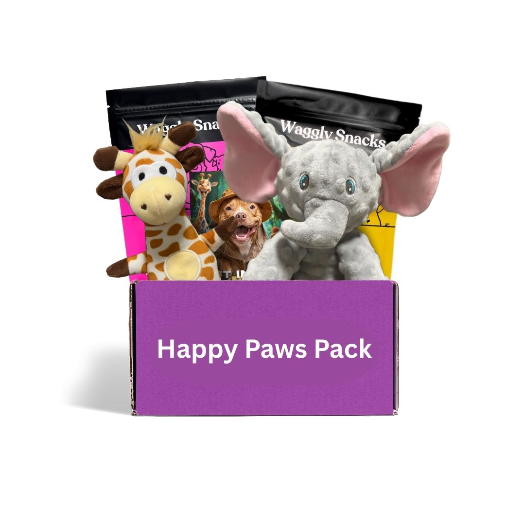 Dog toy subscription box Australia - wildlife themed plush toys and Waggly Snacks