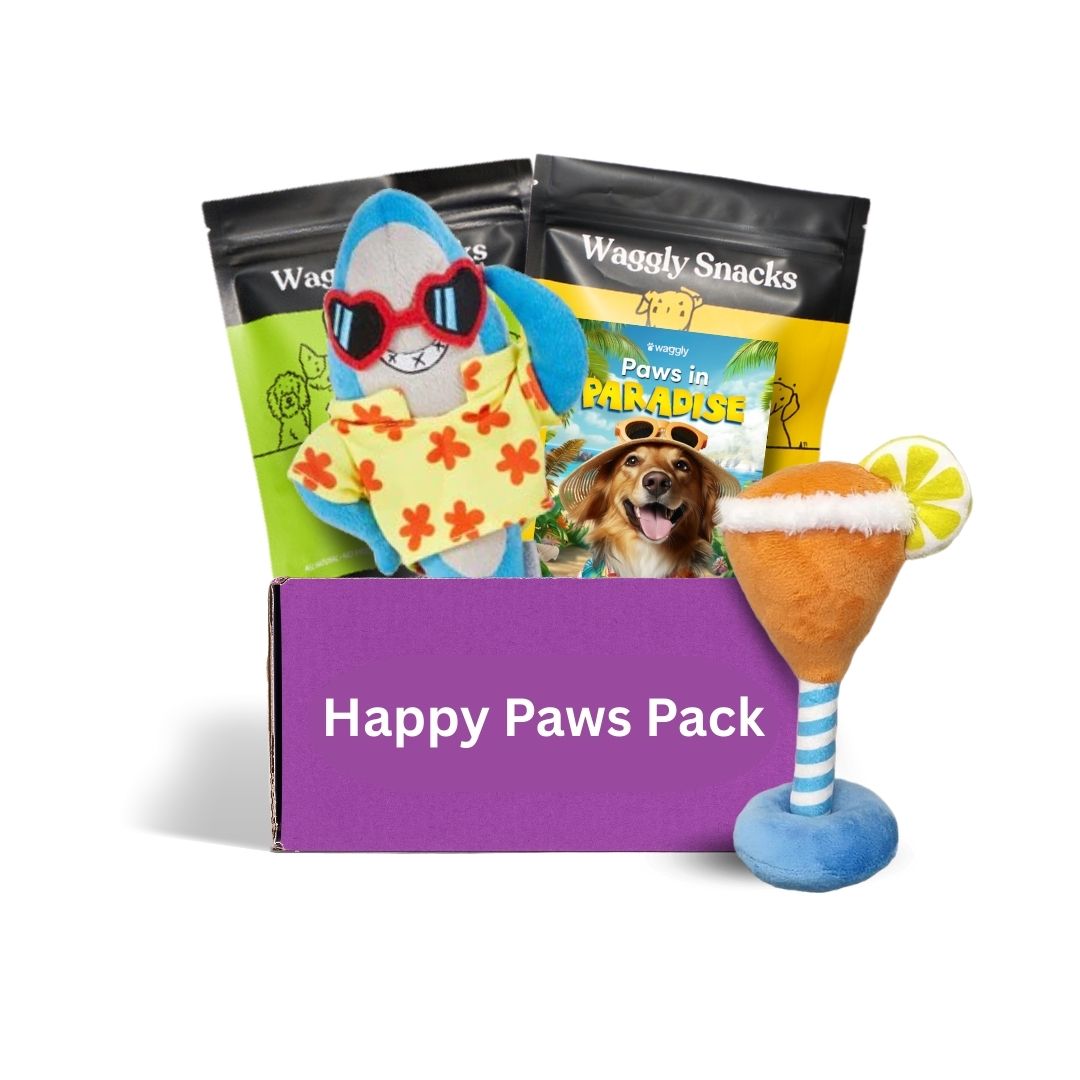 Premium dog subscription box Australia - tropical themed toys and healthy treats monthly