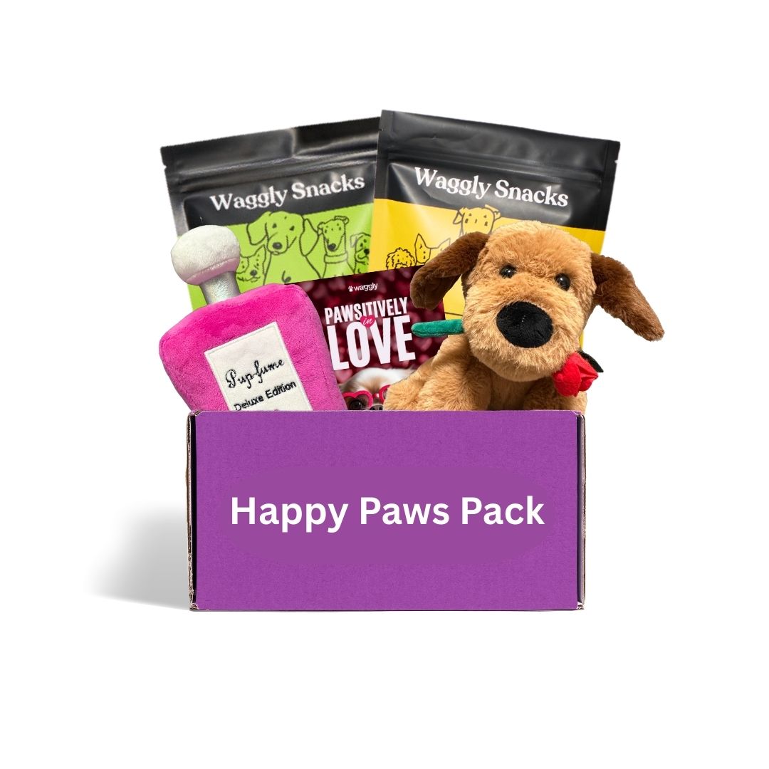 Premium dog subscription box Australia - Love themed toys and healthy treats monthly