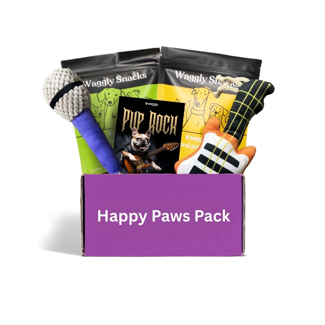 Premium dog subscription box Australia - Rock music themed toys and healthy treats monthly