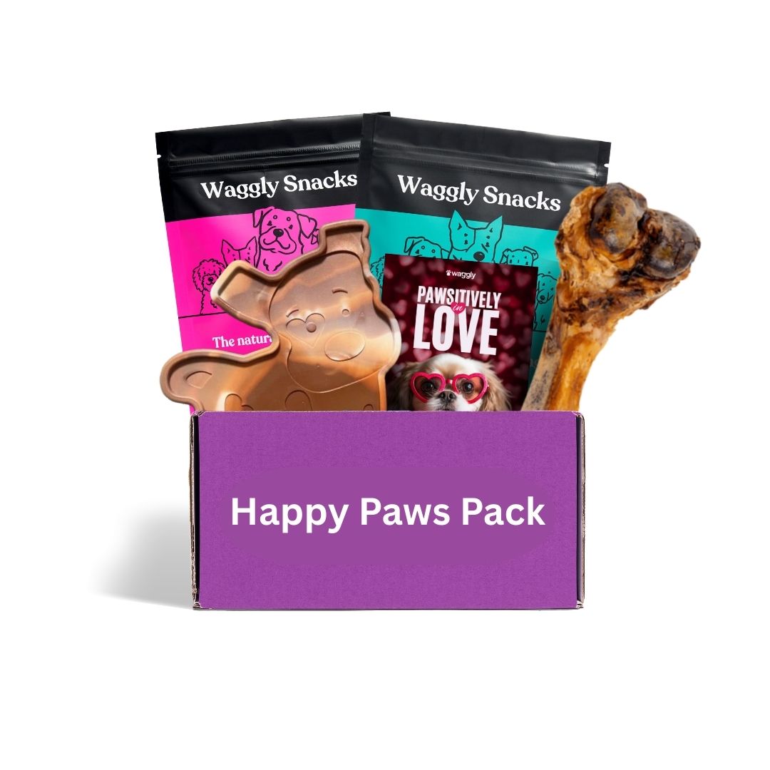 Durable dog toy subscription box Australia - built for power chewers and strong jaws
