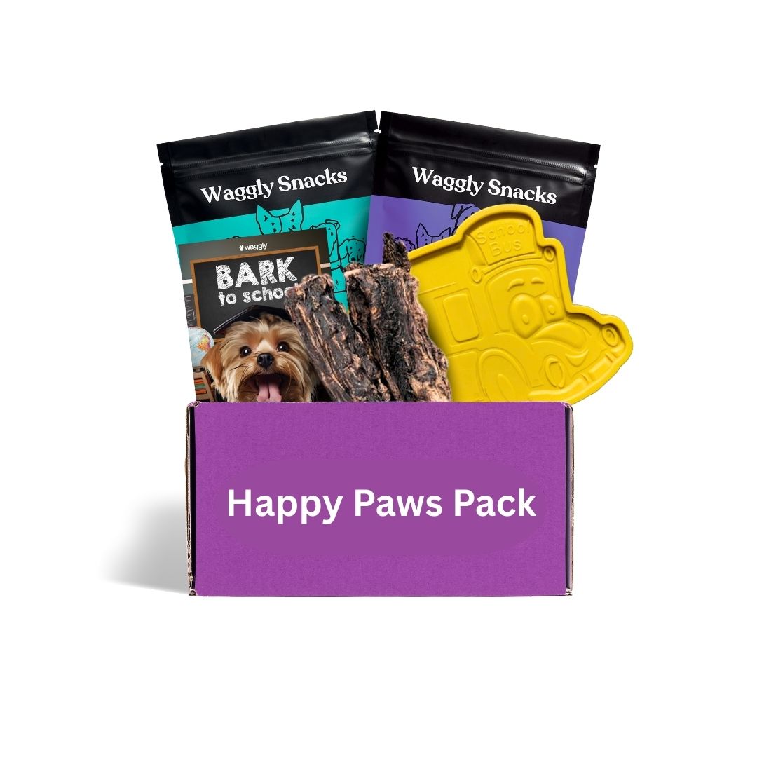 Monthly power chewer box Australia - indestructible toys for dogs who love to chew