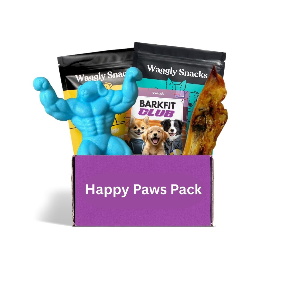 Power chewer dog subscription box Australia - tough toys that last for aggressive chewers