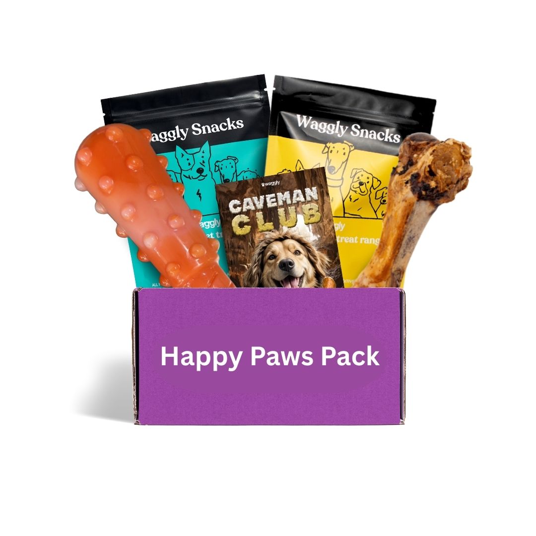 Power chewer subscription box Australia - cave themed durable toys for strong dogs
