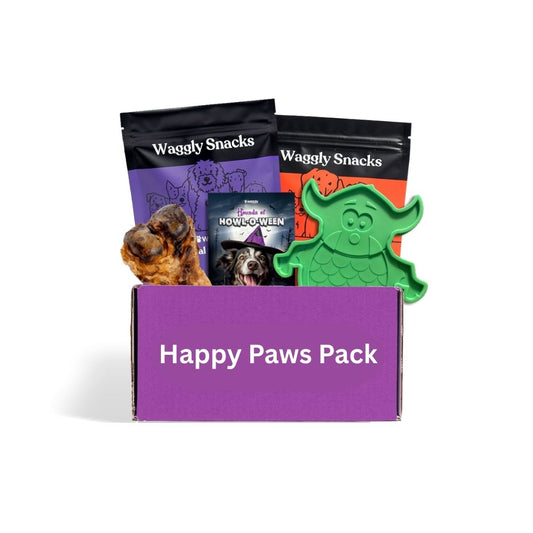 Halloween Power Chewer Toy & Treats Dog Box