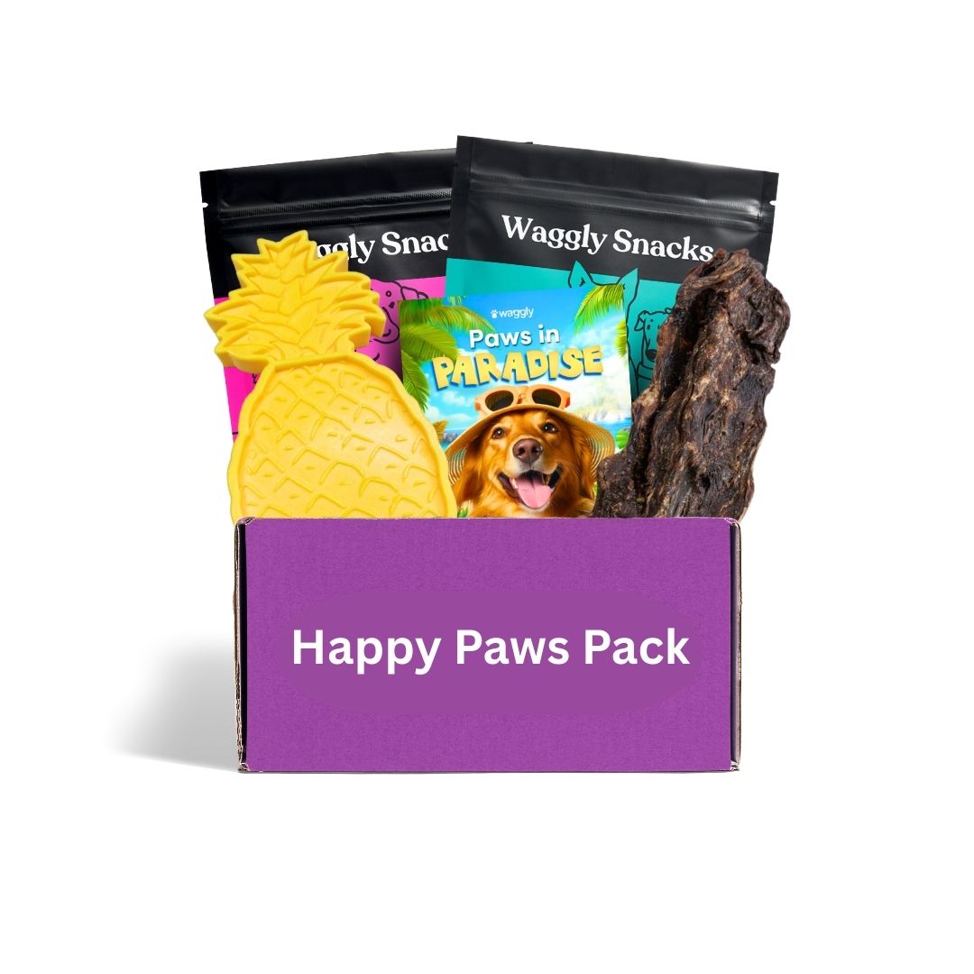 Australian power chewer box - tropical themed durable toys and Waggly Snacks monthly