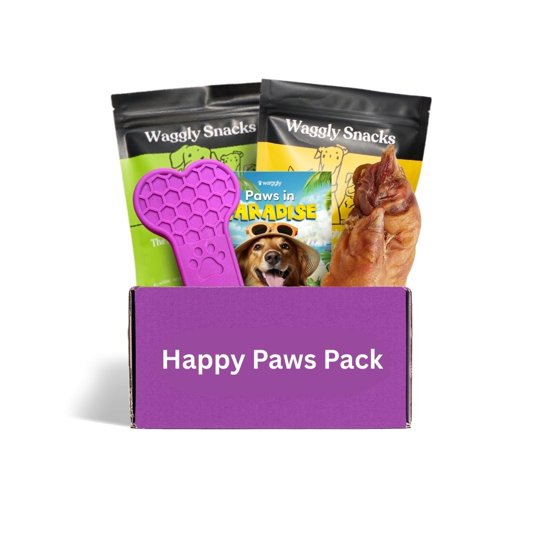 Monthly dog subscription Australia - Bone themed indestructible toys for power chewers