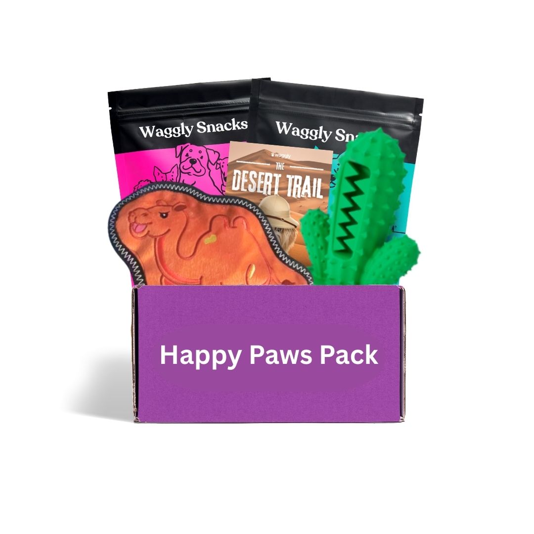 Puppy subscription box Australia - Desert Trail themed toys for young dogs