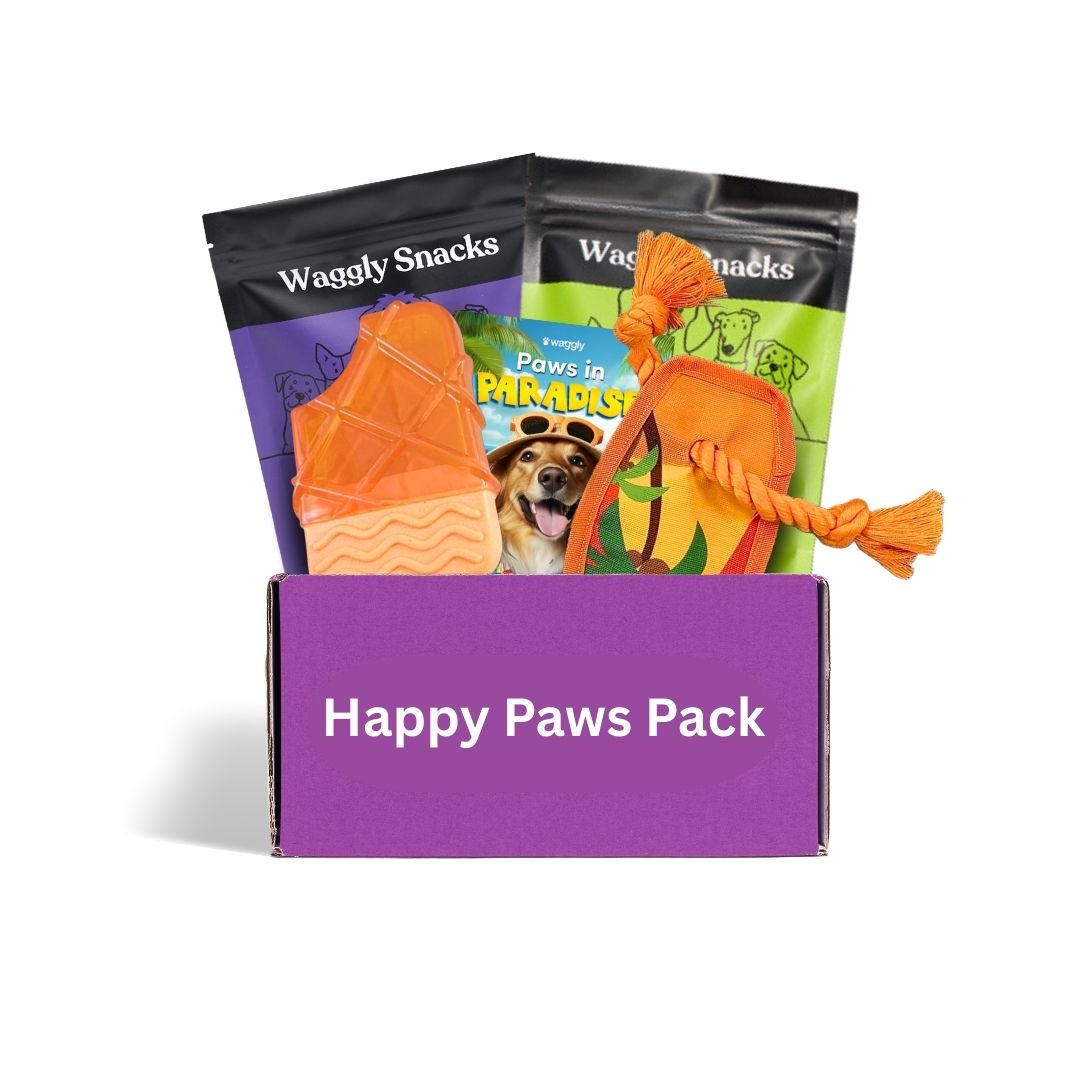 Puppy subscription box Australia - Paws in Paradise themed toys for young dogs