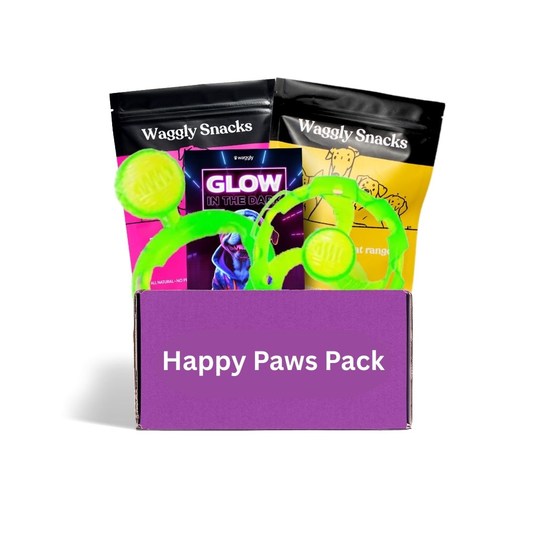 Australian puppy toy subscription - safe interactive toys for growing puppies