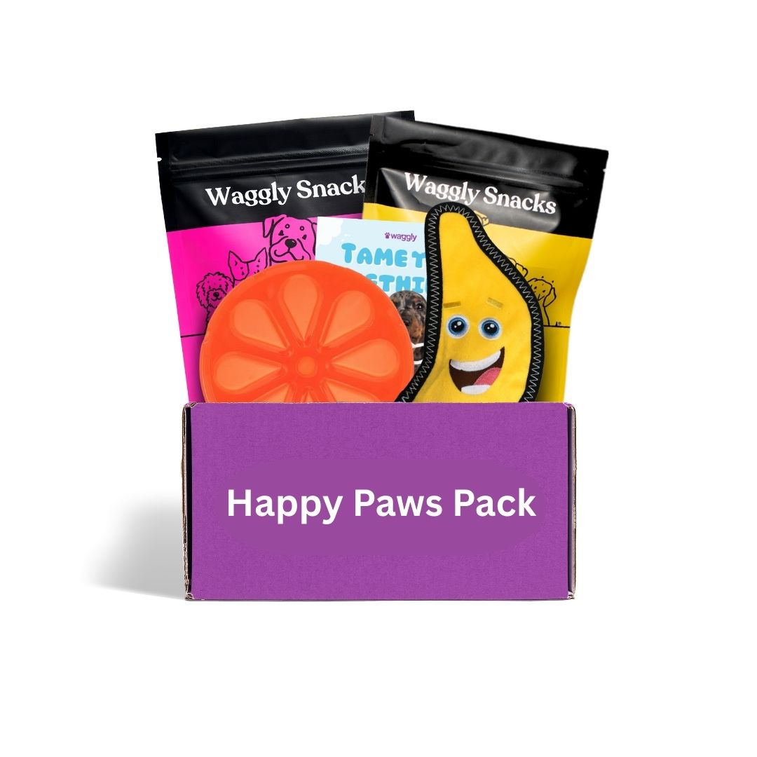 Teething puppy subscription box Australia - safe chew toys for puppies 8 weeks to 12 months