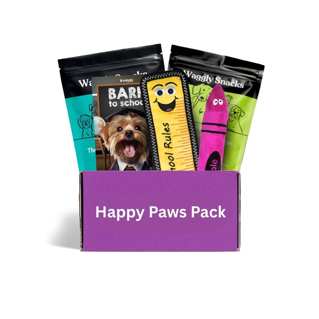 Australian puppy box subscription - safe toys and healthy treats for growing puppies