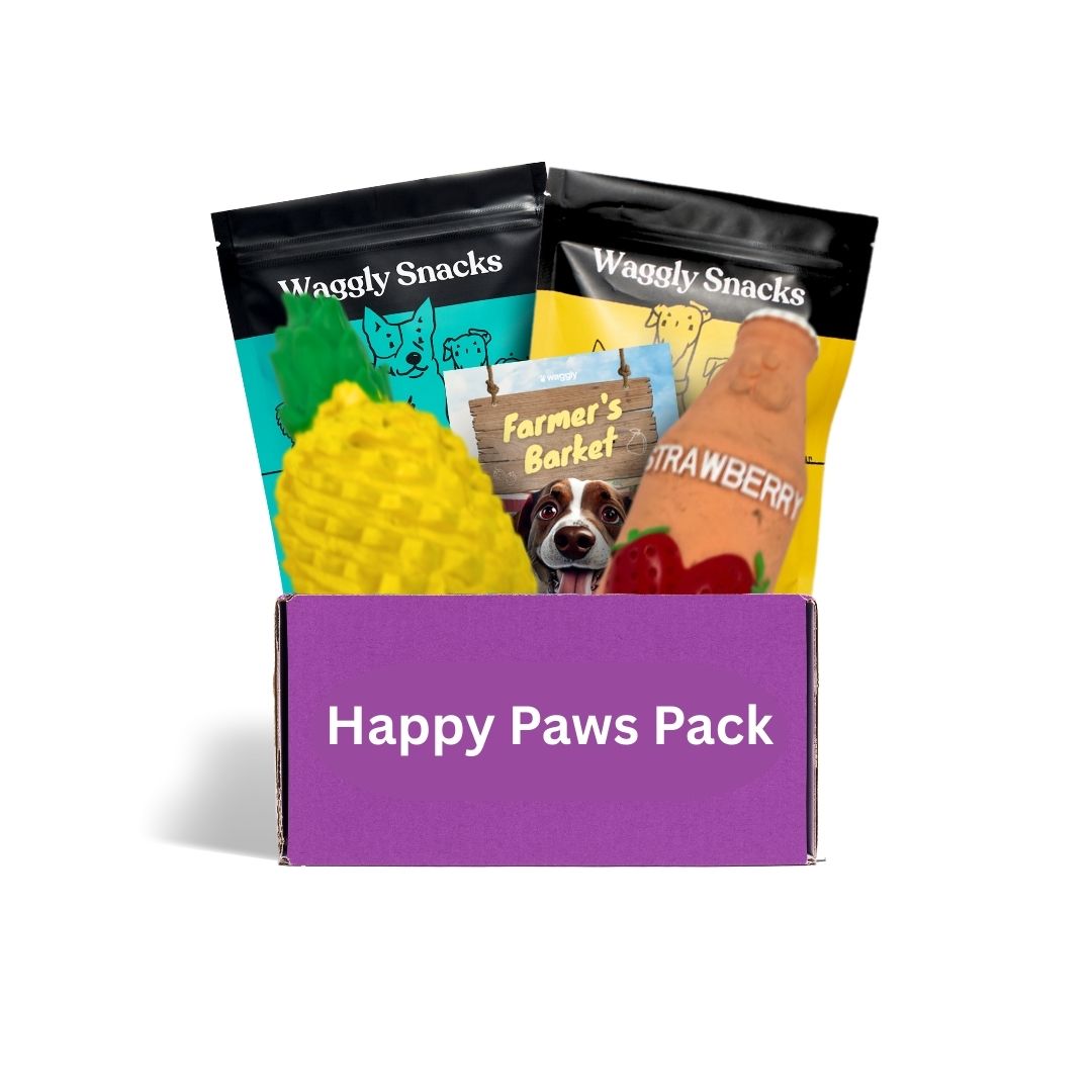 Monthly puppy subscription box Australia - teething toys and nutritious treats