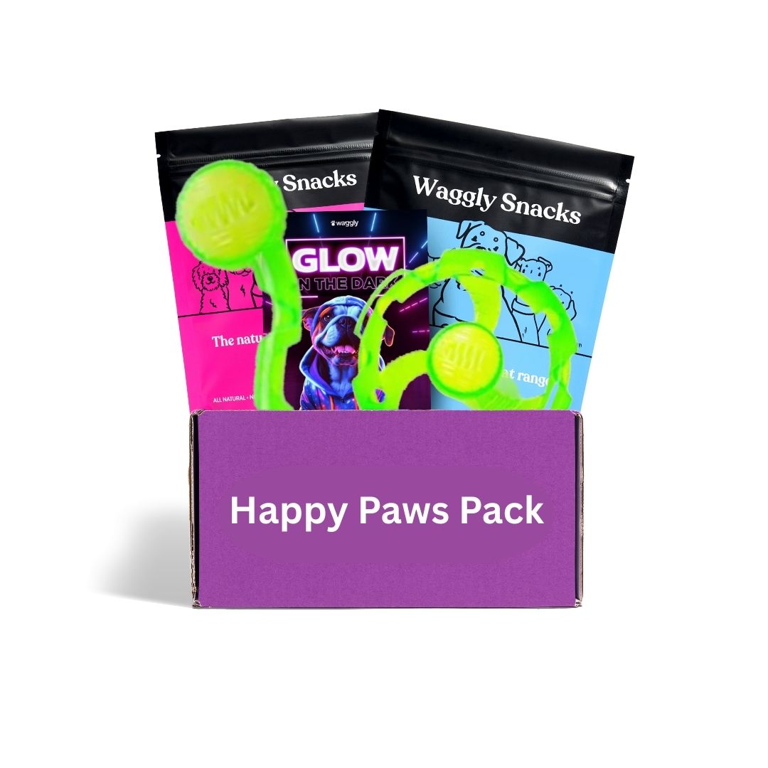 Puppy toy subscription box Australia - fun themed toys for young dogs