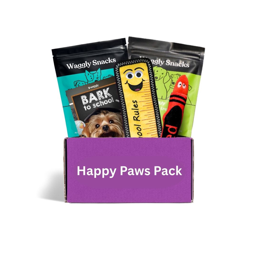 Puppy subscription box Australia - back to school themed toys for young dogs