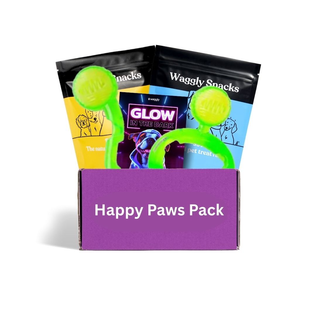 Puppy box Australia - glow in the dark toys and healthy Waggly Snacks for young pups