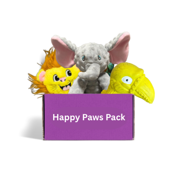 Dog toy subscription box Australia - Happy Paws Active & Cozy Box with active and plush toys