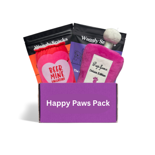 Happy Paws Valentine Plush Lovers Box