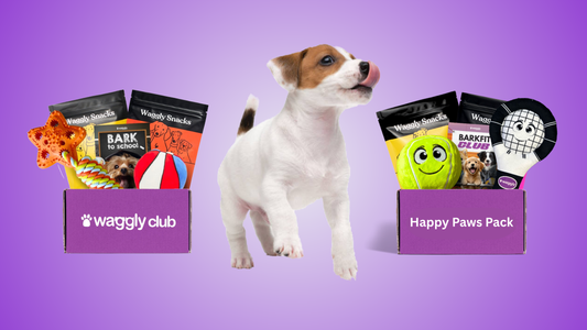 Happy Paws Pack Australian dog subscription box - from Waggly to Happy Paws Pack brand story