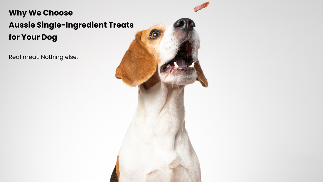 Dog catching a treat illustrating why Aussie single-ingredient dog treats are a healthy choice
